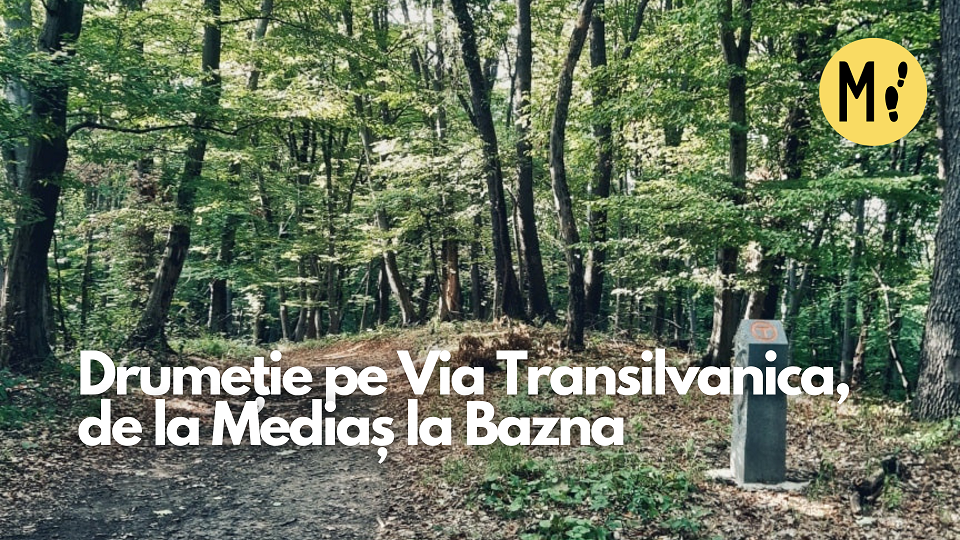 Drumeție pe Via Transilvanica, de la Mediaș la Bazna