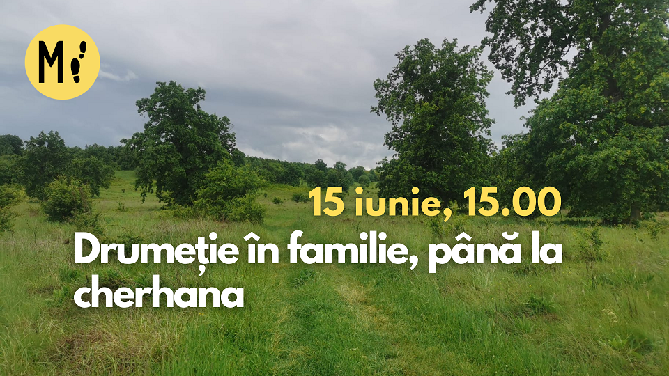 Drumeție în familie, până la cherhana