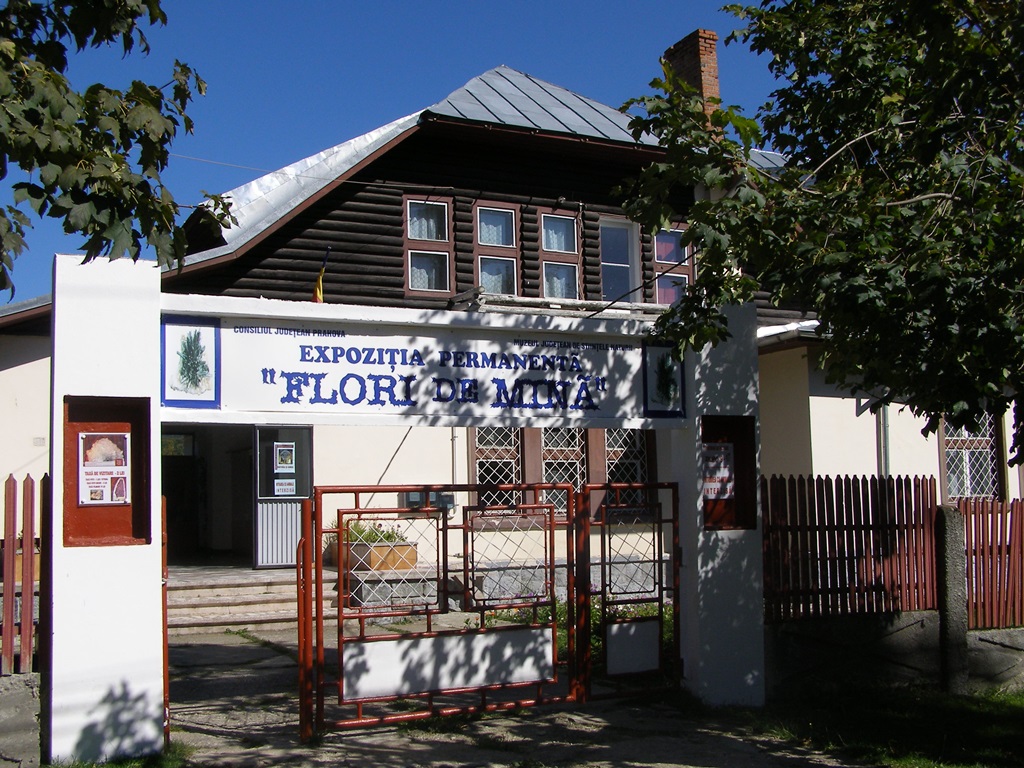Muzeul Flori de Mina
