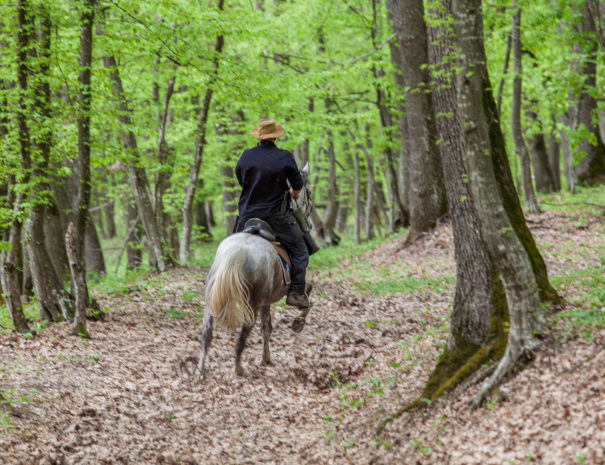 Plimbare de 4 zile pe cai in Viscri