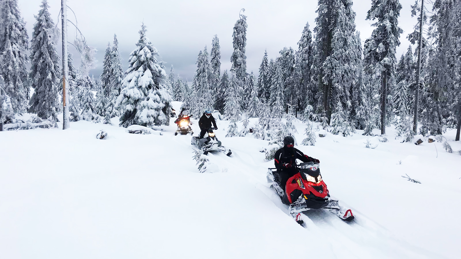 Tururi cu snowmobilul de neuitat în Transilvania