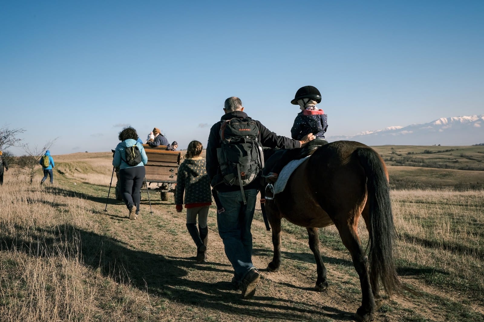 Drumetie pentru cei mici cu plimbare pe ponei si vizita la ferma de animale
