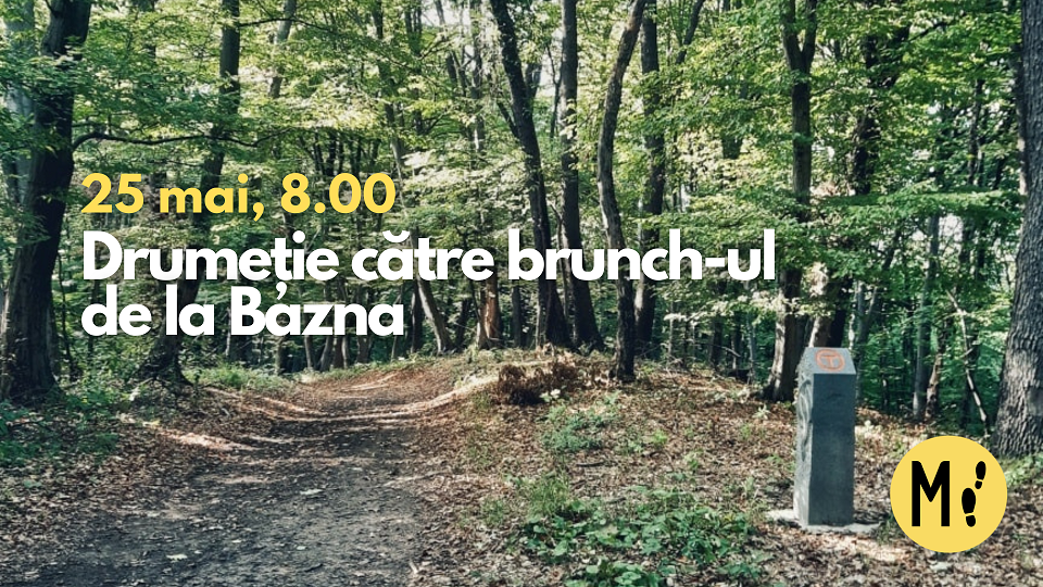 Drumeție către brunch-ul de la Bazna