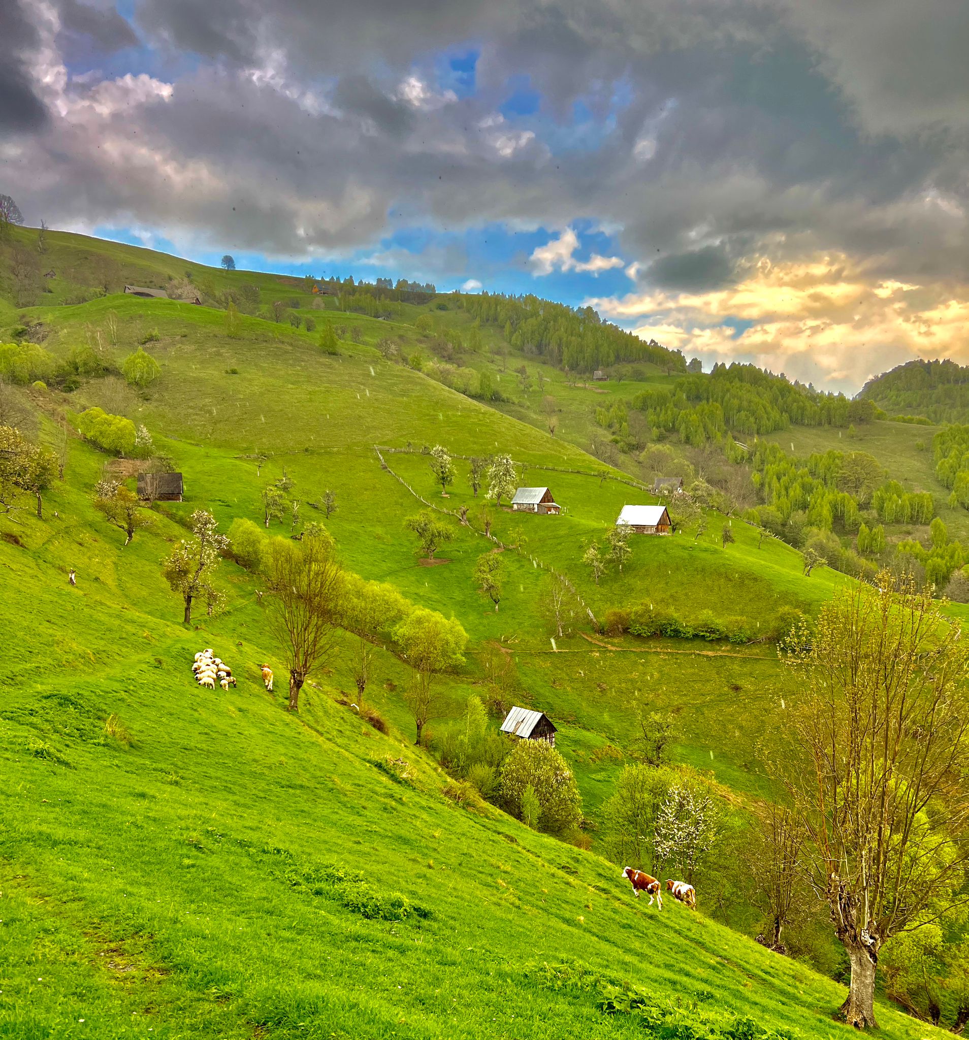 La pas prin Țara Colibelor