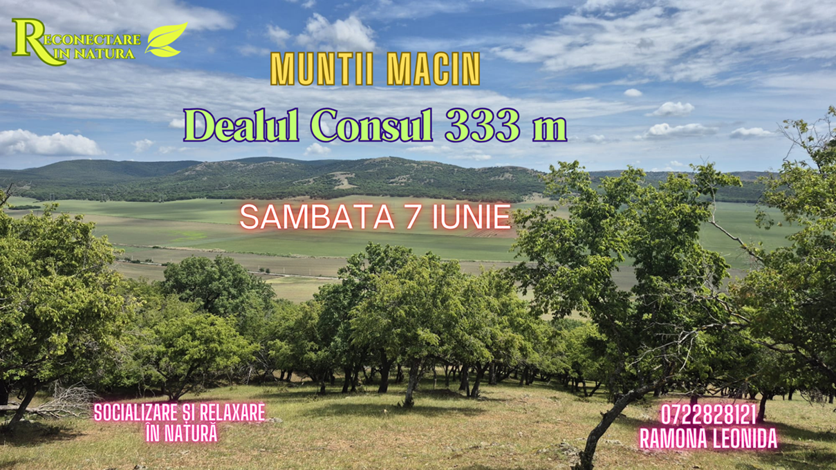 7 IUNIE: Traseu DEALUL CONSUL in Muntii Macin
