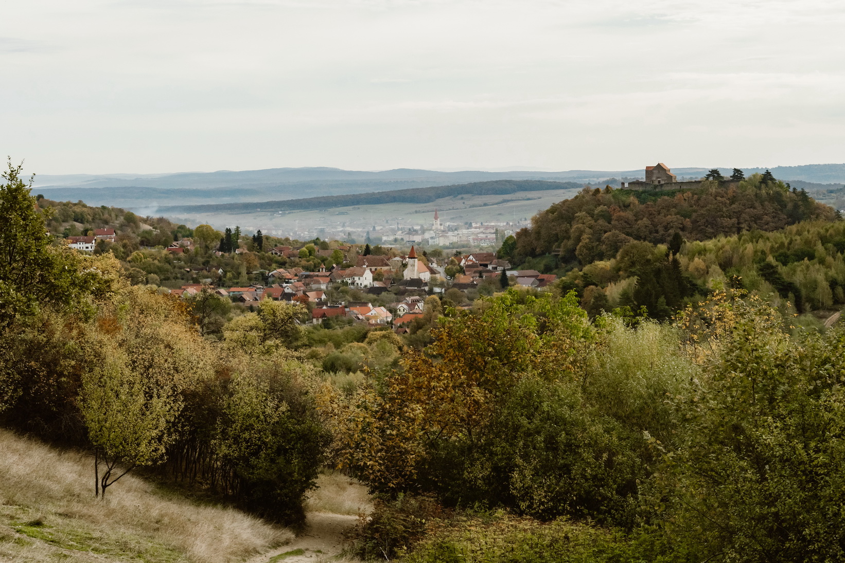 Circuit pentru micii exploratori în Pădurea Catrina