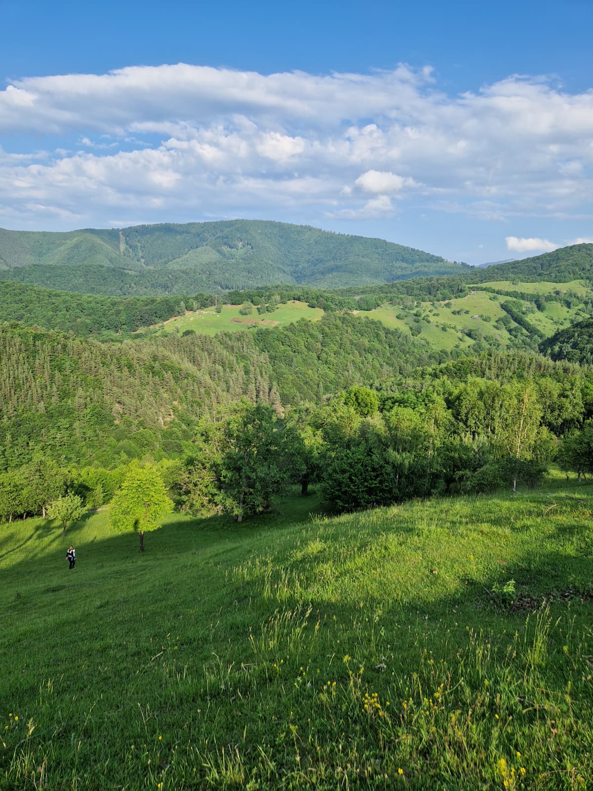 Rășinari – Vf. Bârnelor