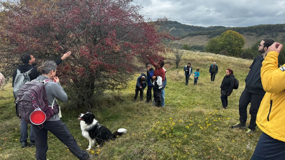 Pădurile seculare dinprejurul Dumbrăveniului și surprize culinare!