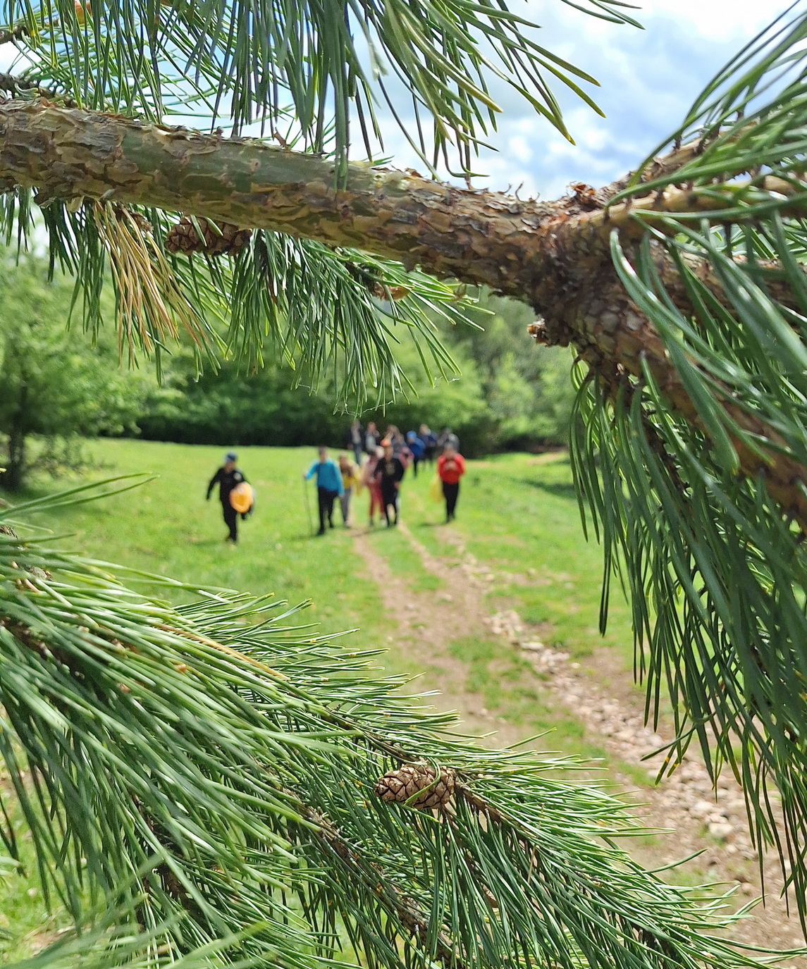 Drumeție cu atelier montan pentru micii drumeți: Cetatea Uriașilor-Rășinari