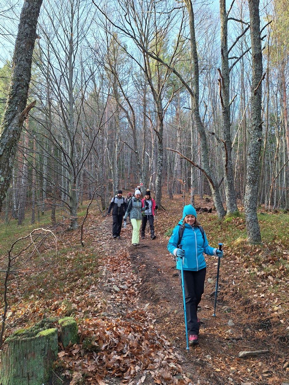Drumeție cu atelier montan pentru micii drumeți: Valea Argintului
