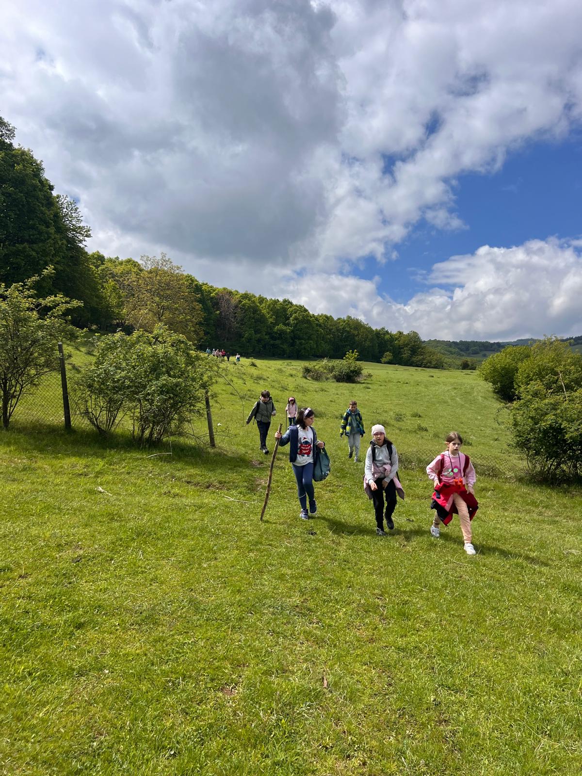 o Drumetie pentru Copii, Mamici, Tatici si Bunici pe Colinele Transilvaniei