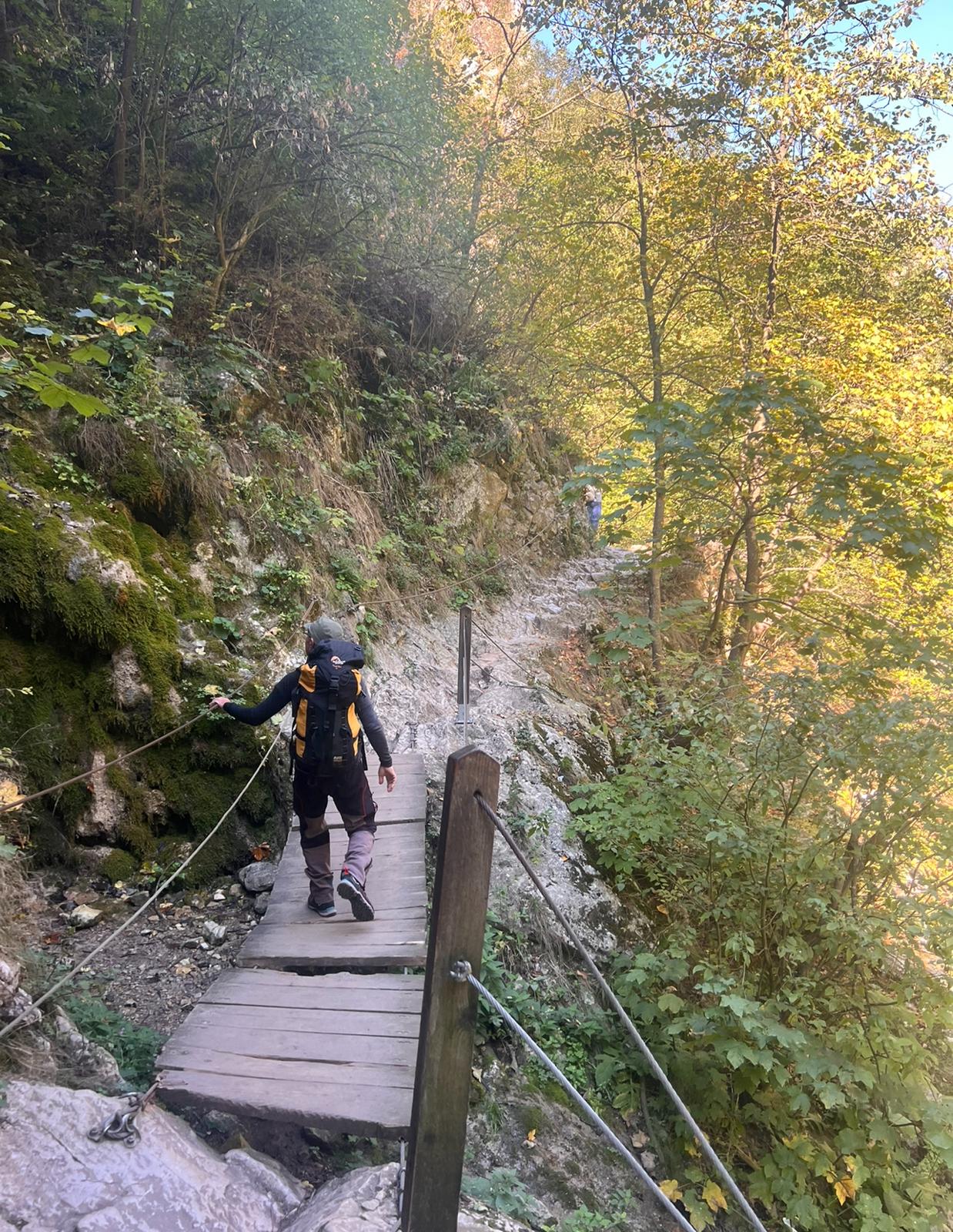 Drumetie acompaniata de Cal, Trasura, Capra Alpine si Buna dispozitie