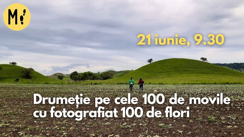 Drumeție pe cele 100 de coline cu fotografiat 100 de flori