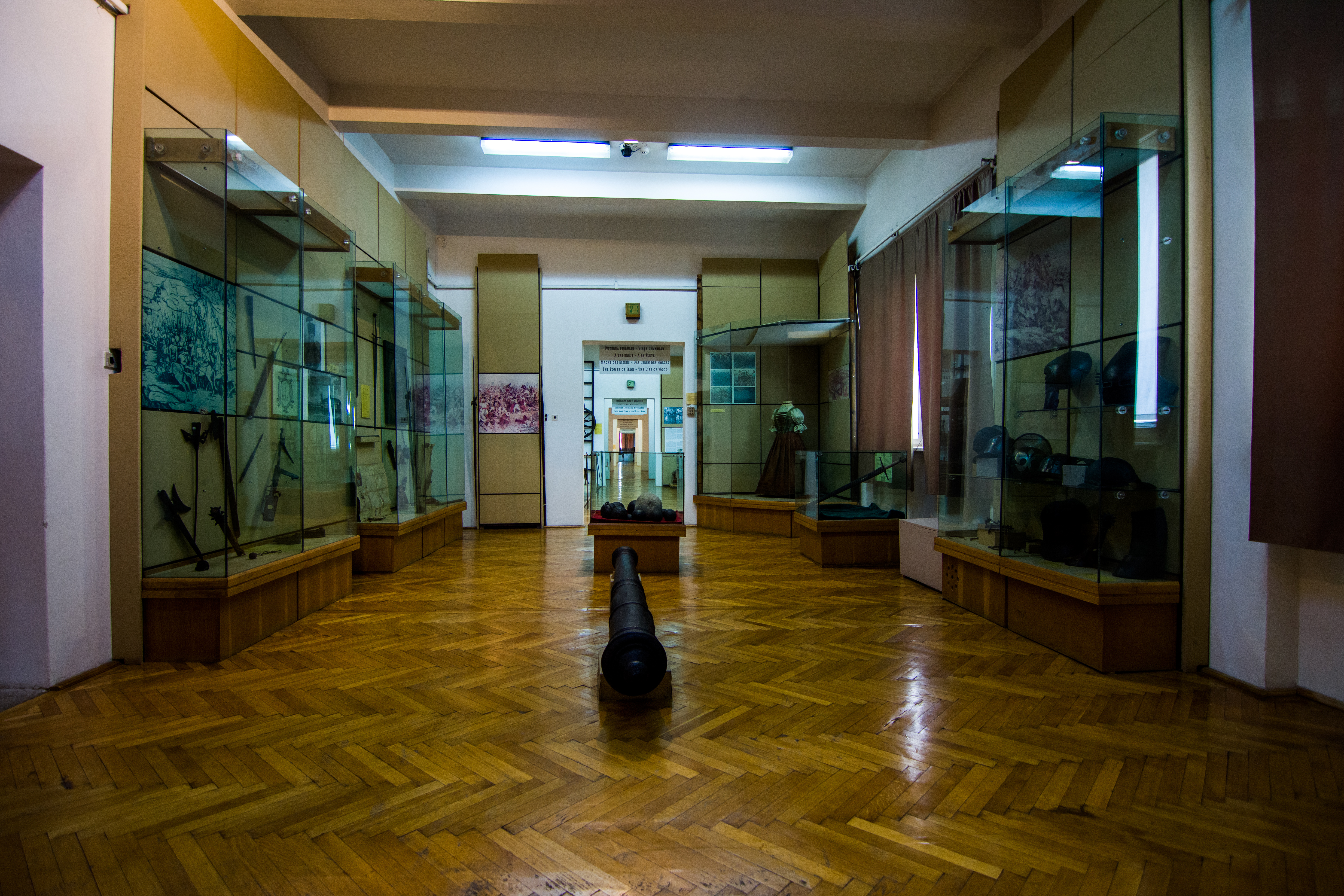 Muzeul Judetean Satu Mare