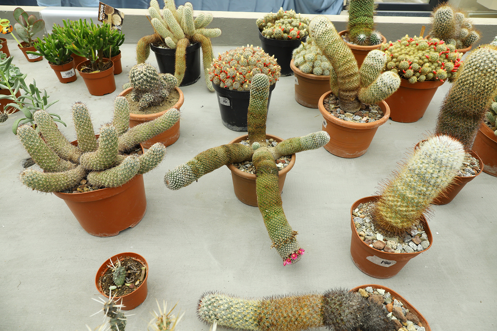 Sectia de Stiintele Naturii