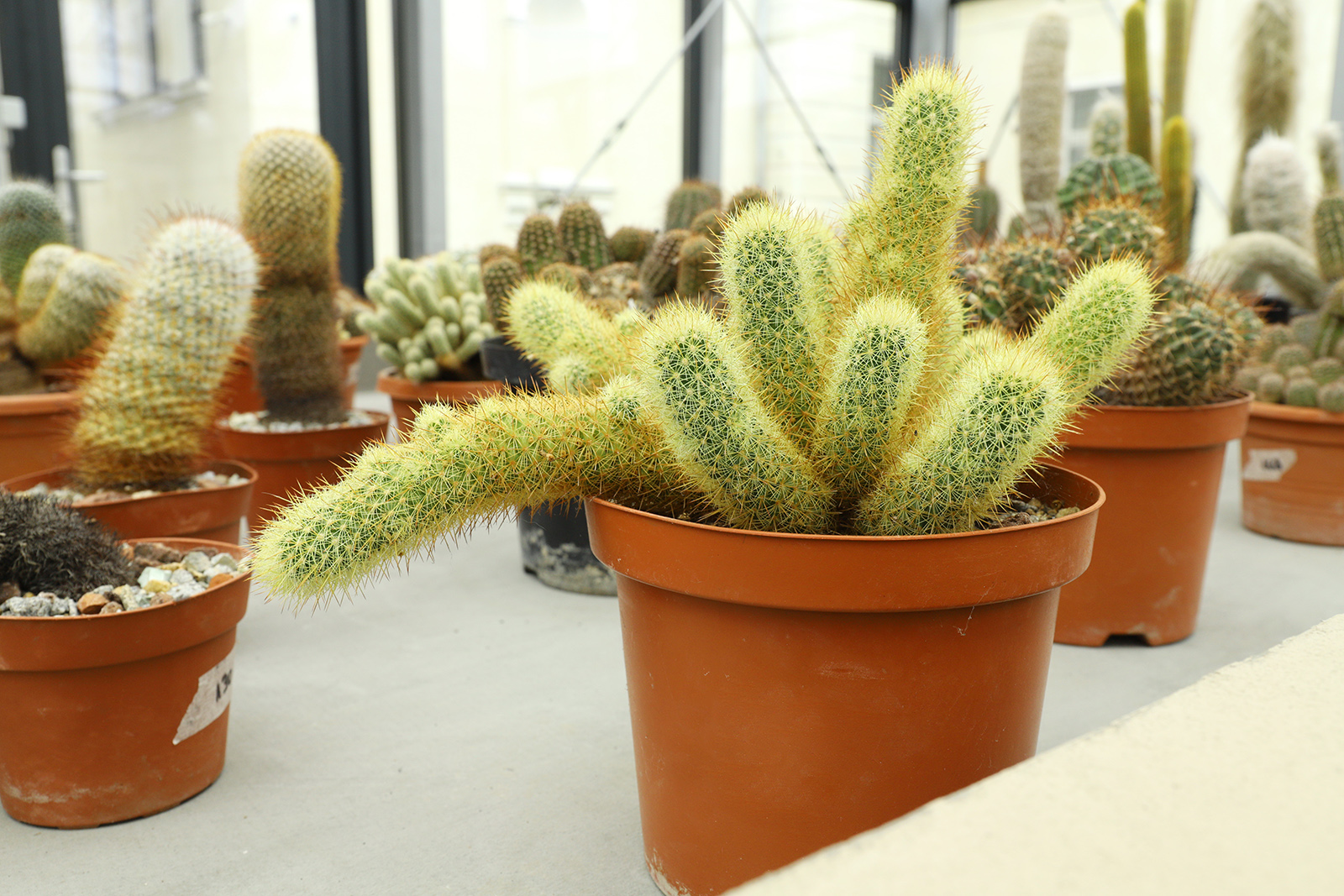 Sectia de Stiintele Naturii