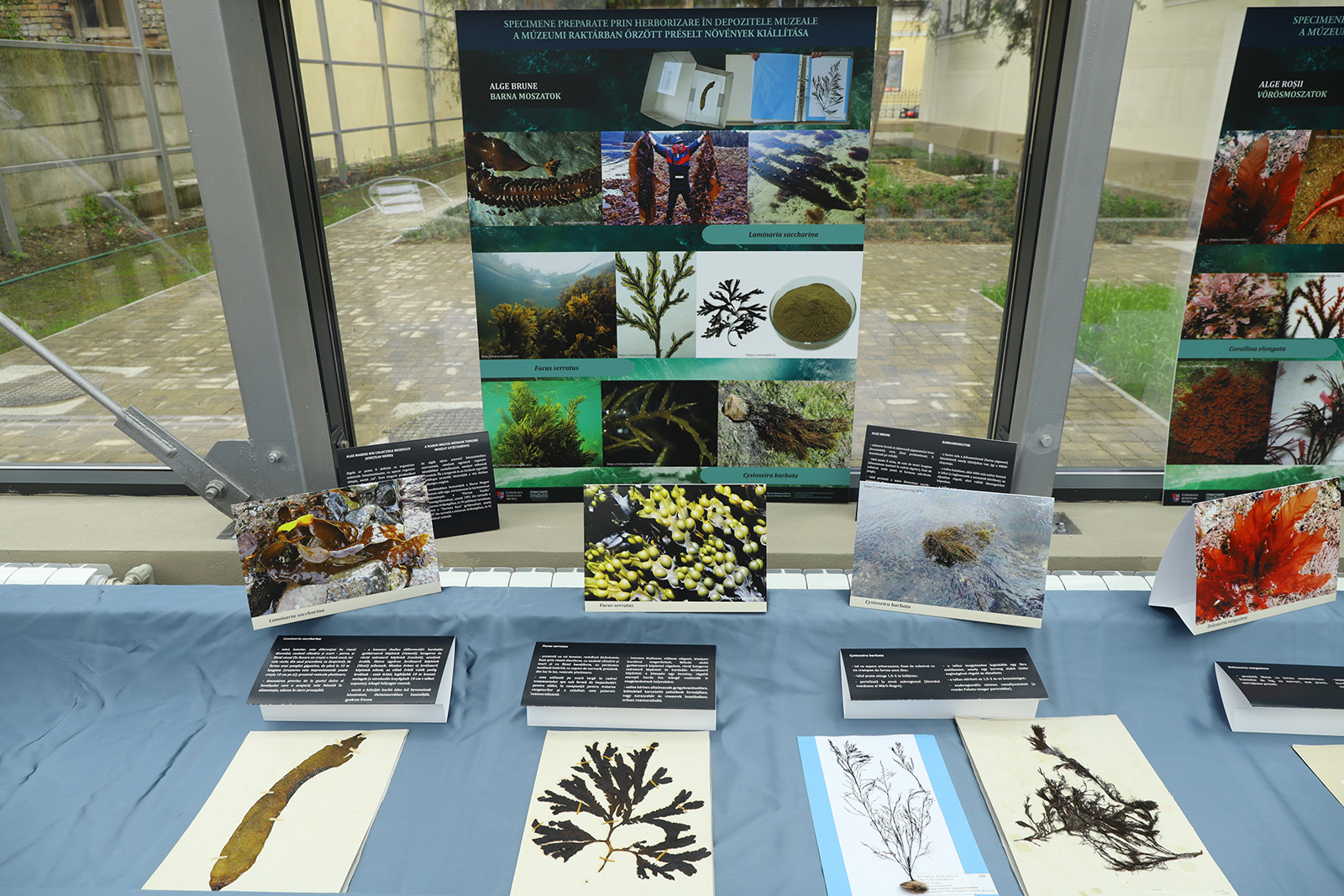 Sectia de Stiintele Naturii