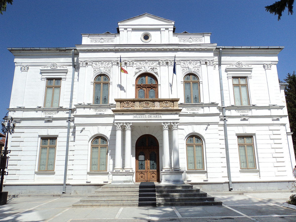 Abonament individual vizitare muzee judetul Dambovita