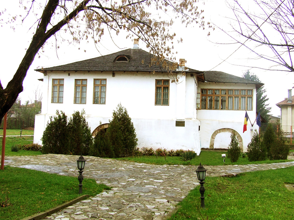 Abonament individual vizitare muzee Targoviste