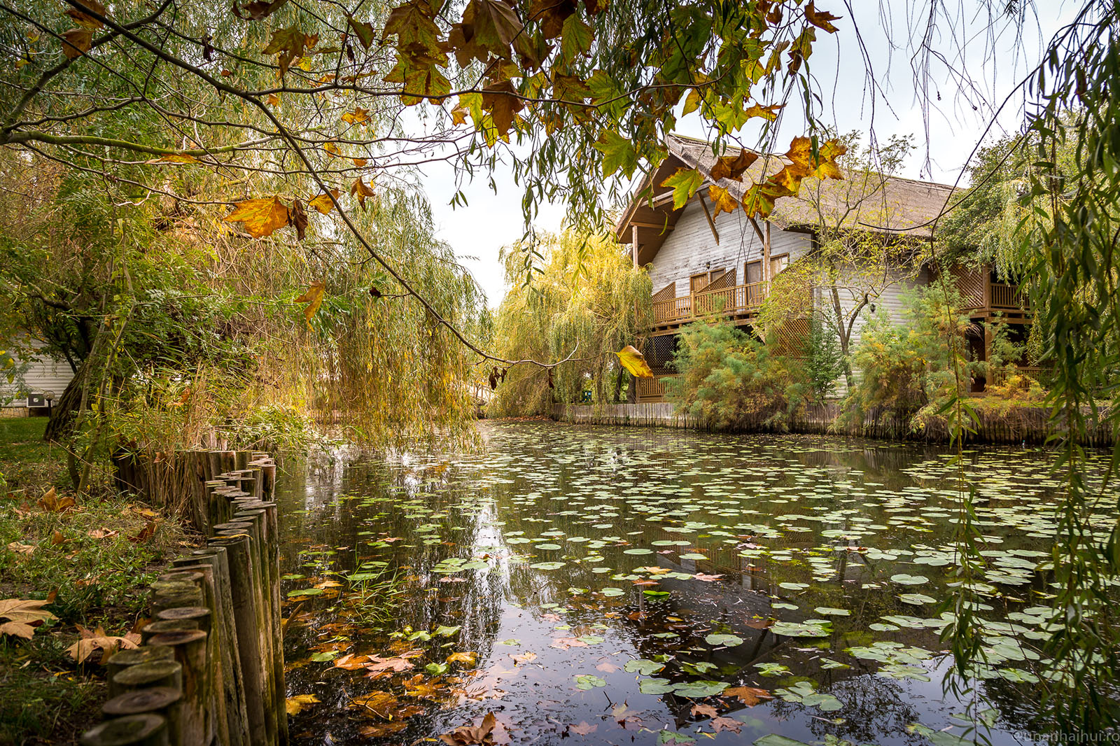 Green Village Resort - Danube Delta | Sfântu Gheorghe