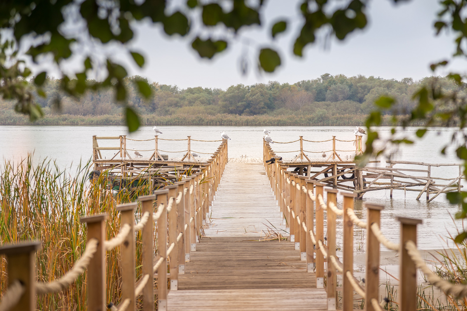 Green Village Resort - Danube Delta | Sfântu Gheorghe