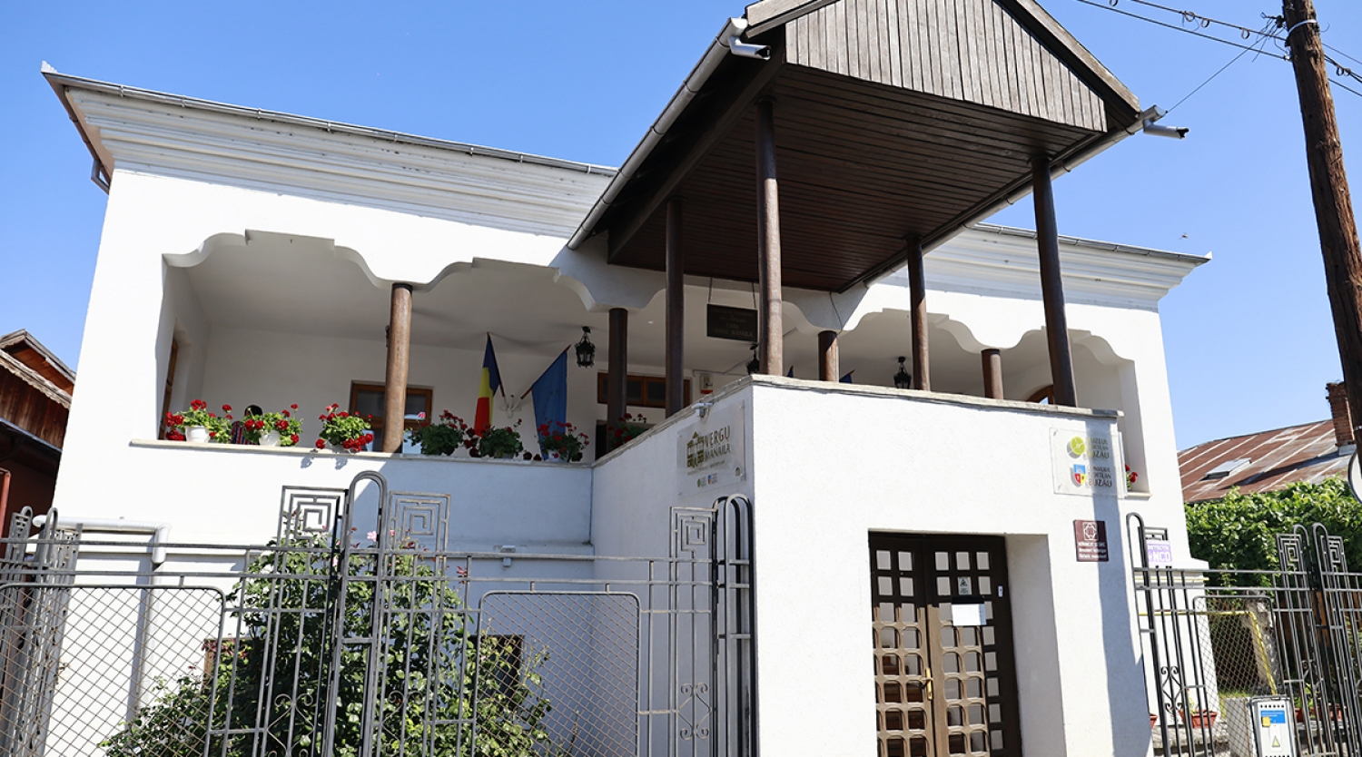 Bilet Unic Muzeul Judetean Buzau