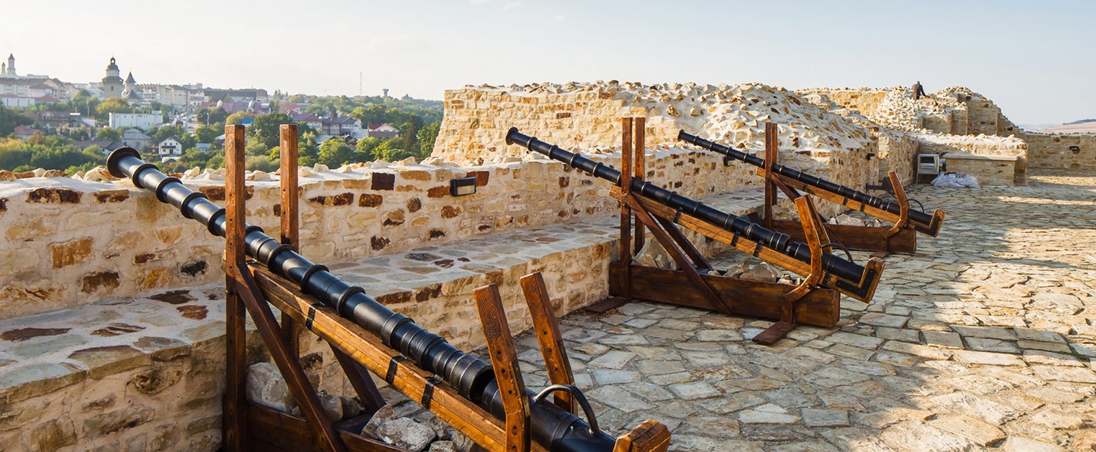 Cetatea de Scaun a Sucevei