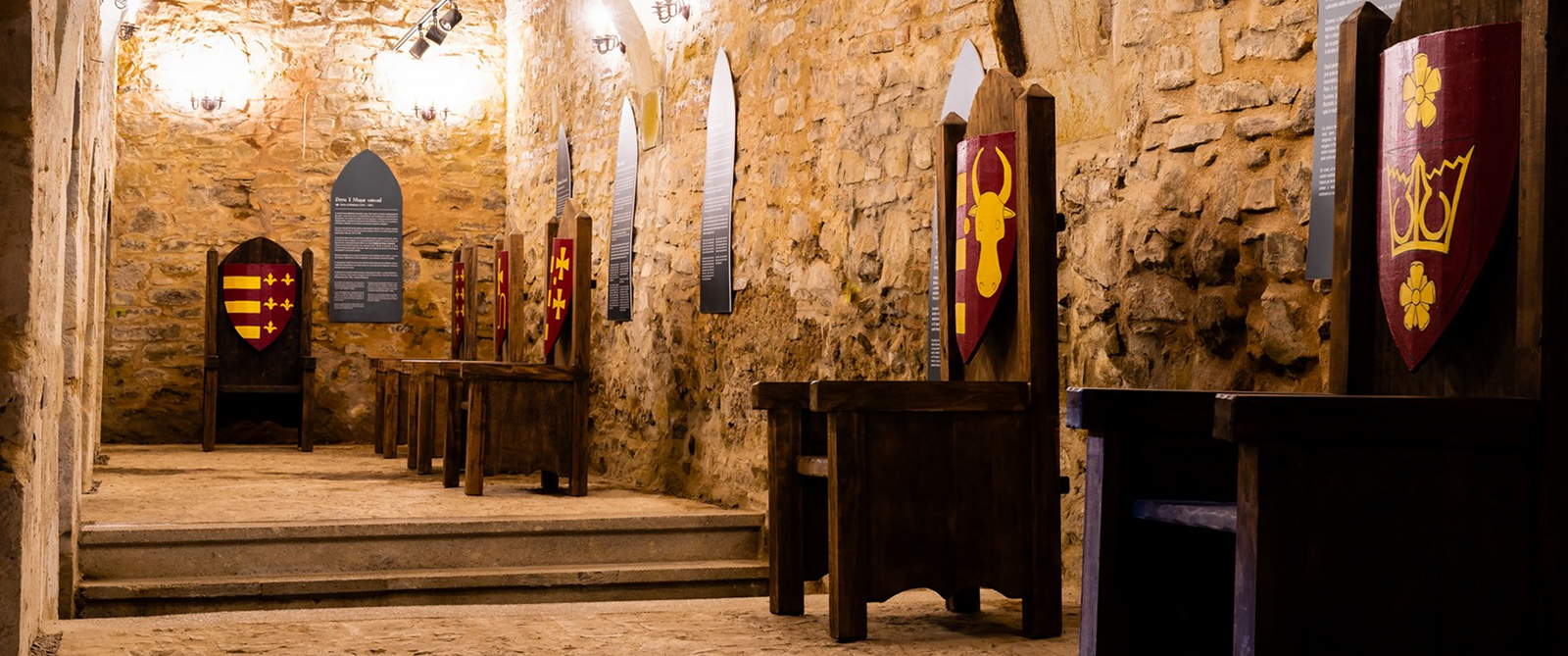 Cetatea de Scaun a Sucevei