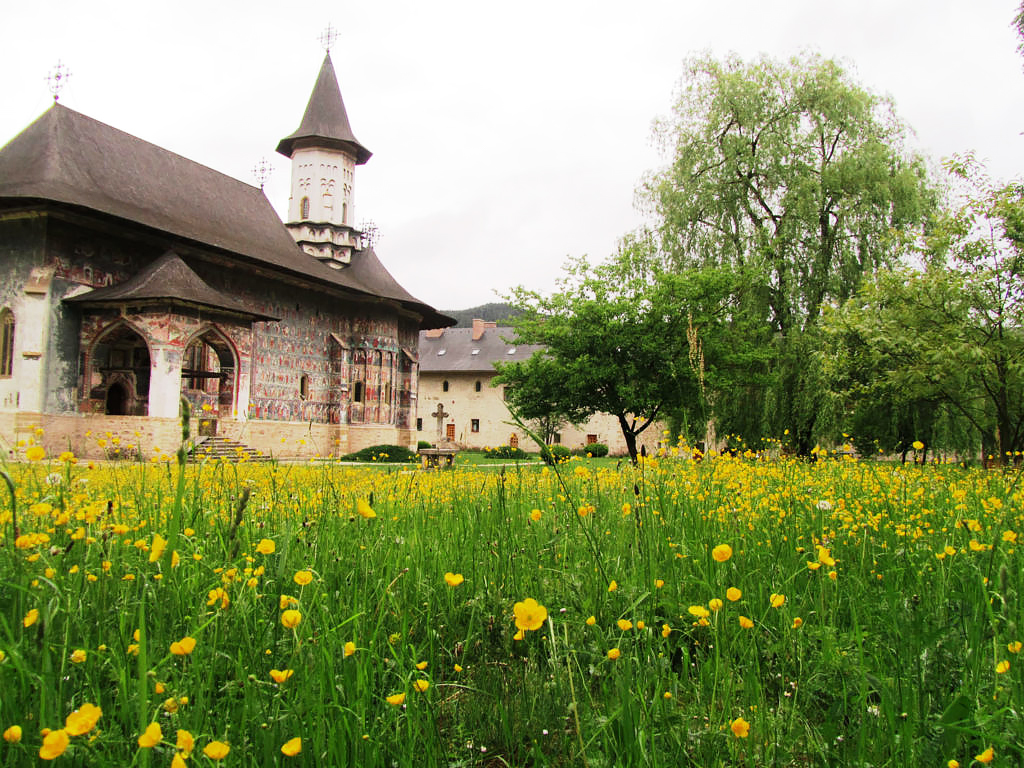 Bucovina Painted Monasteries