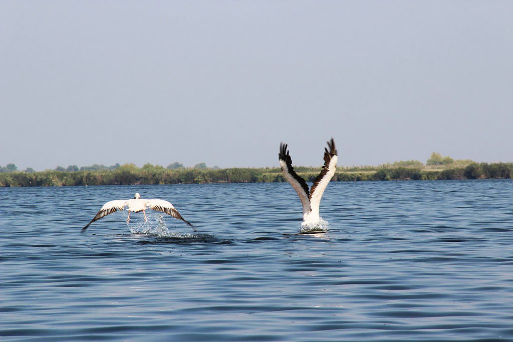 Danube Delta by Bike & Boat