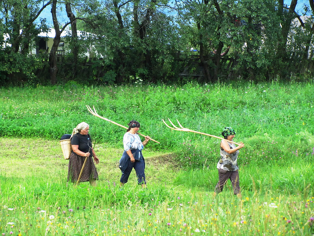 Maramures Wooden Churches Route