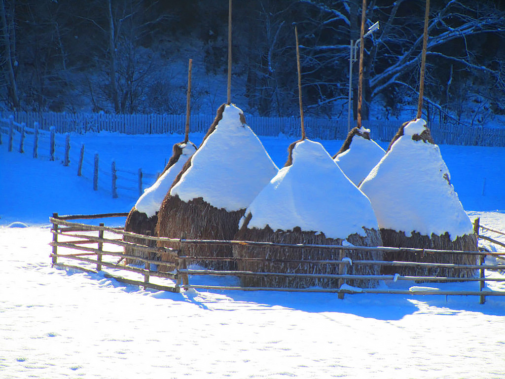 Maramures Wooden Churches Route
