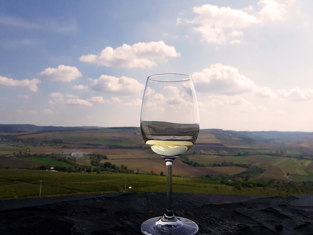 One Day Wine Route by Bike