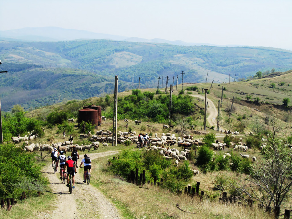 One Day Wine Route by Bike