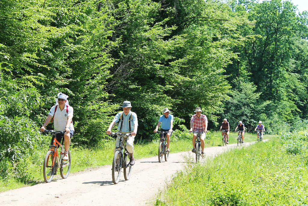 Wine Route by Bike