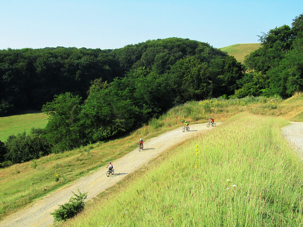Gravel Tour in the Wilderness of Romania