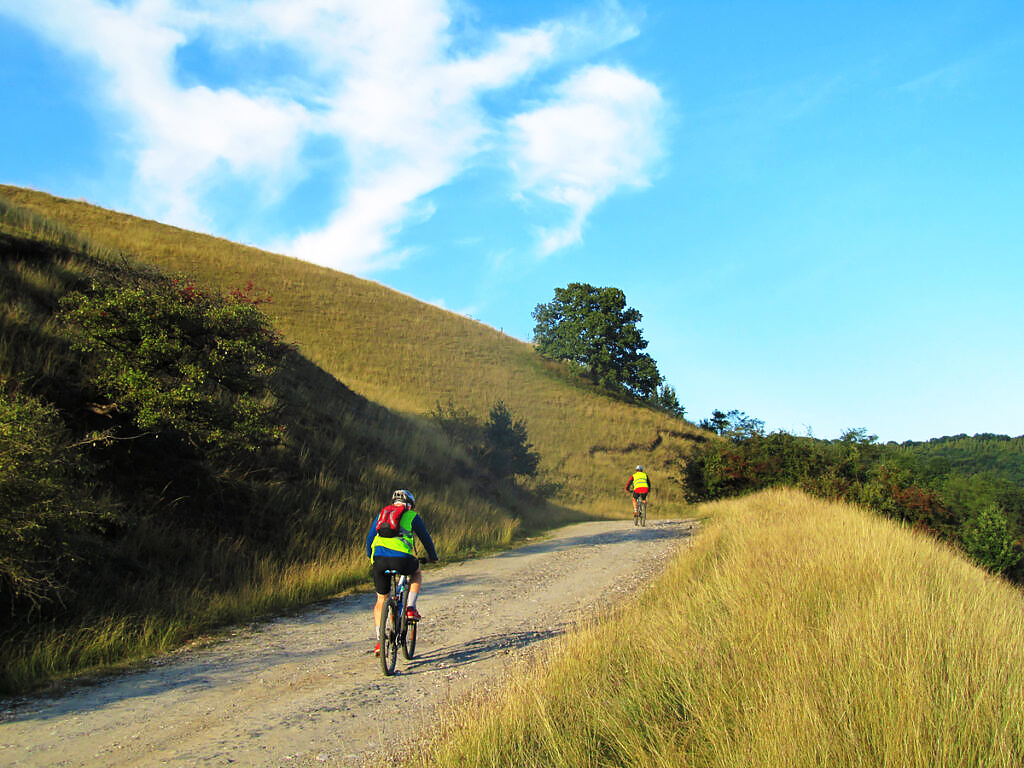 Gravel Tour in the Wilderness of Romania