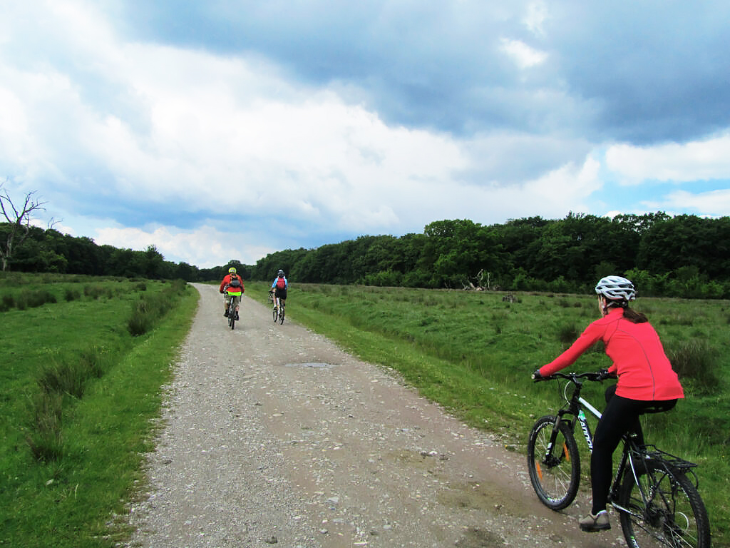 Gravel Tour in the Wilderness of Romania