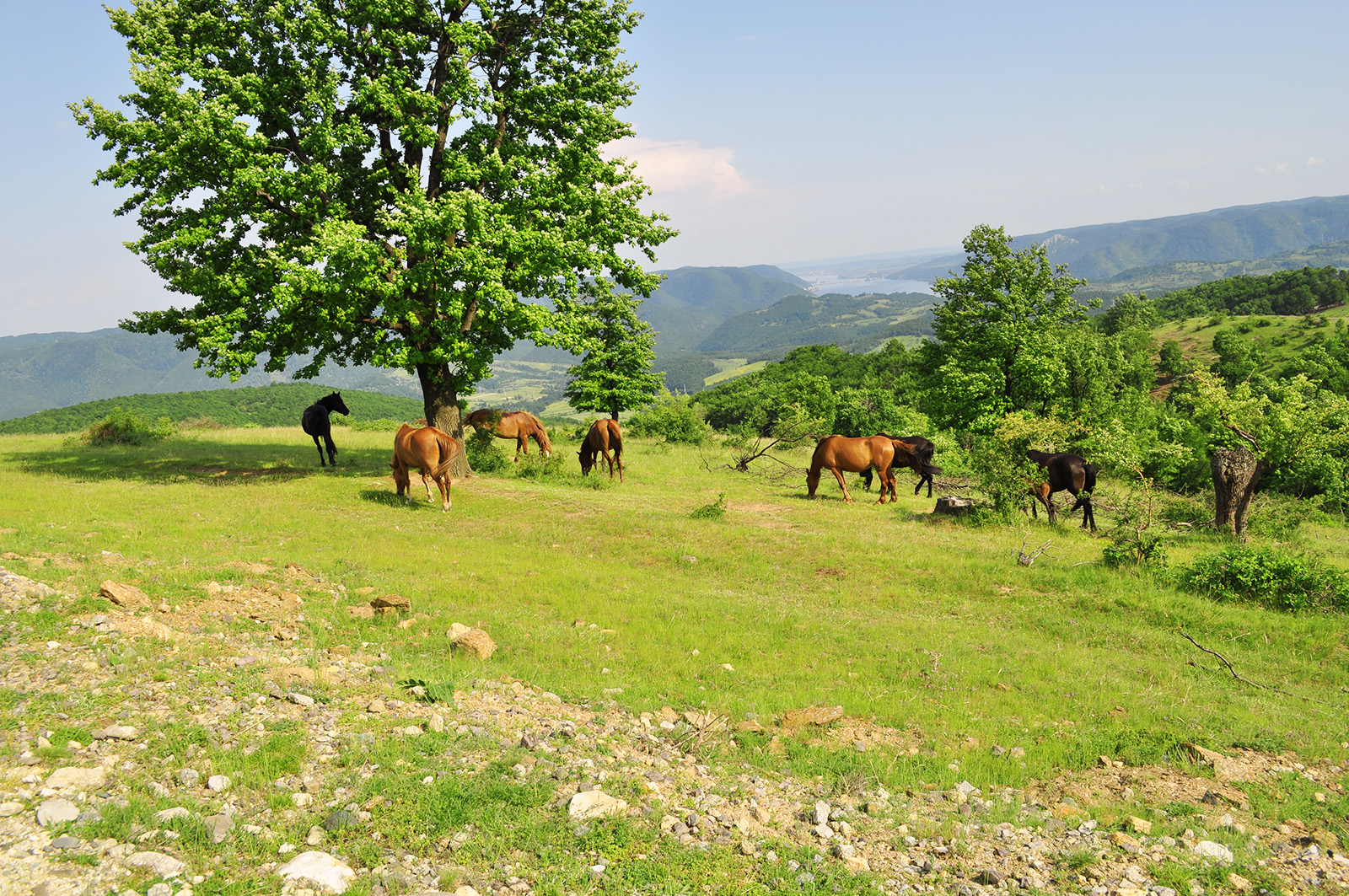 Danube Gorges by Bike & Boat