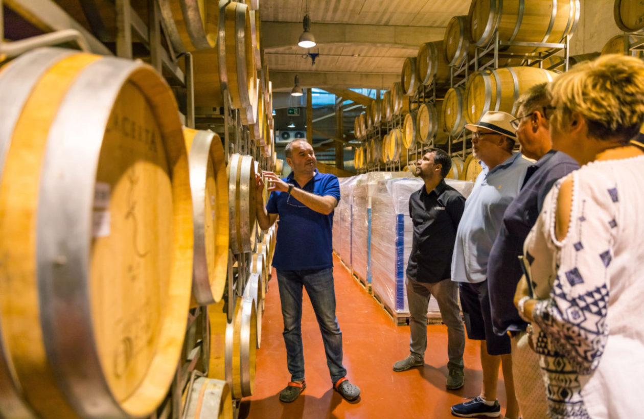 Sip & Savour - Wine Country Private Tour & Wine Tasting