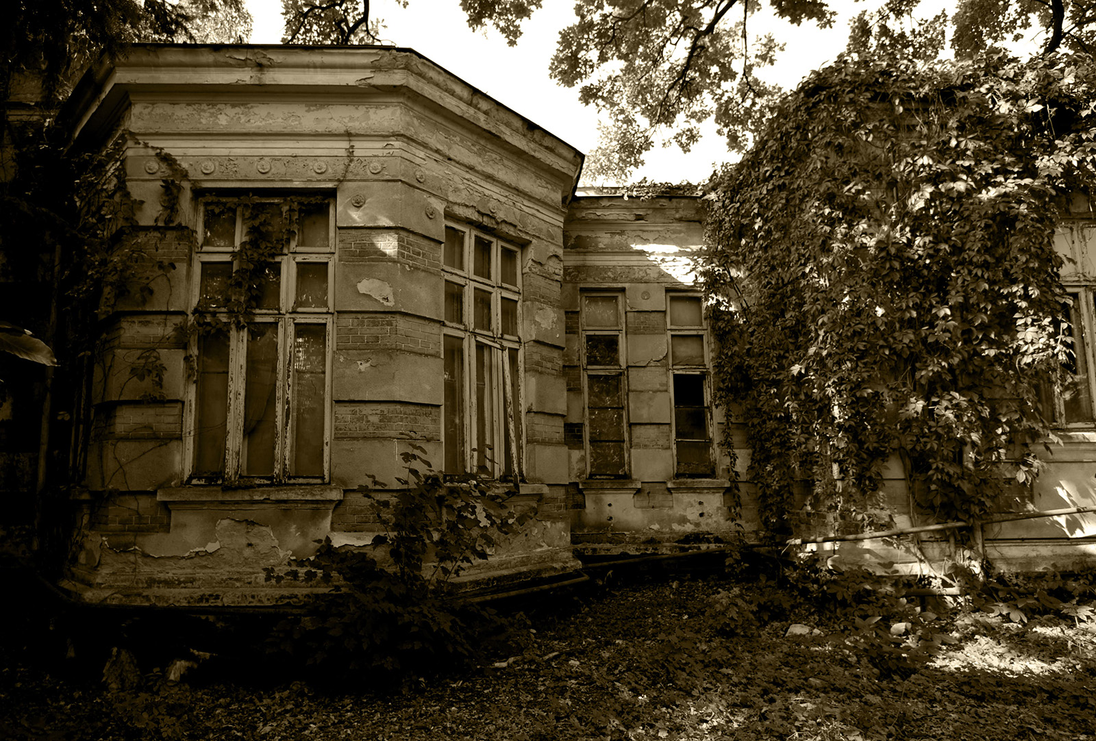 Centrul Muzeal „I.C. Brătianu”