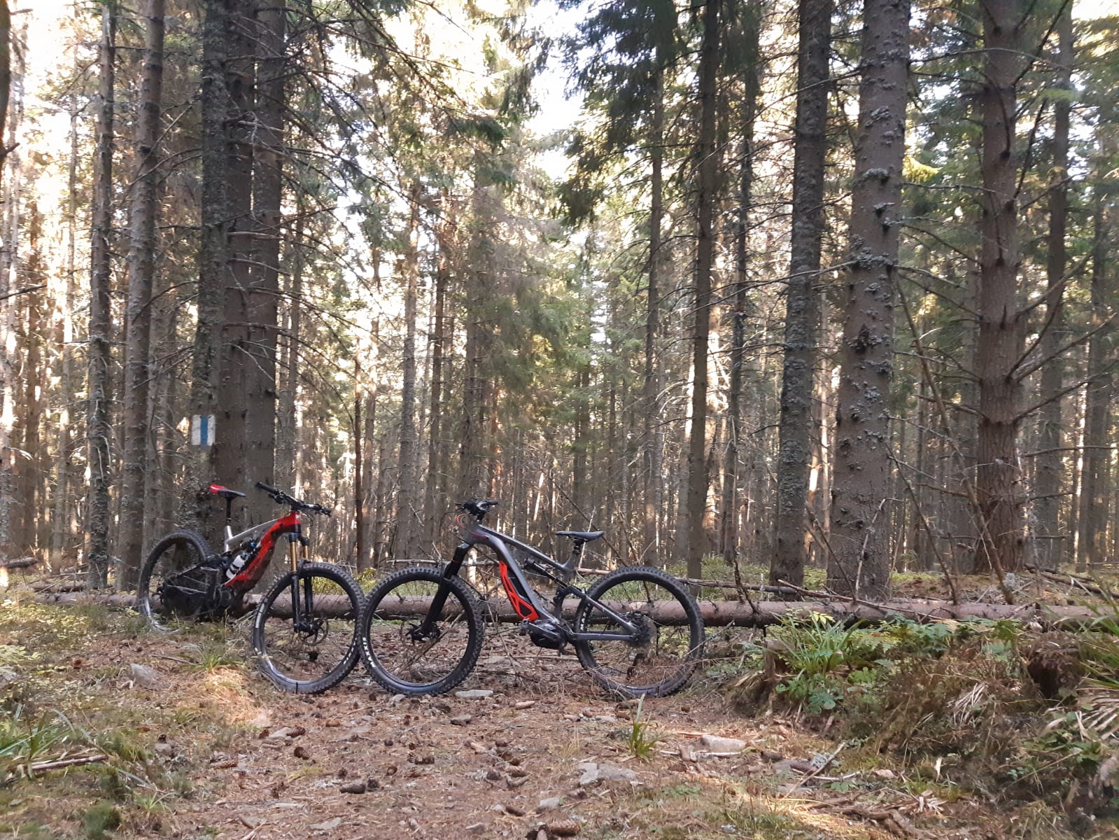 Explorează Munții pe ebike-urile MTB Thok