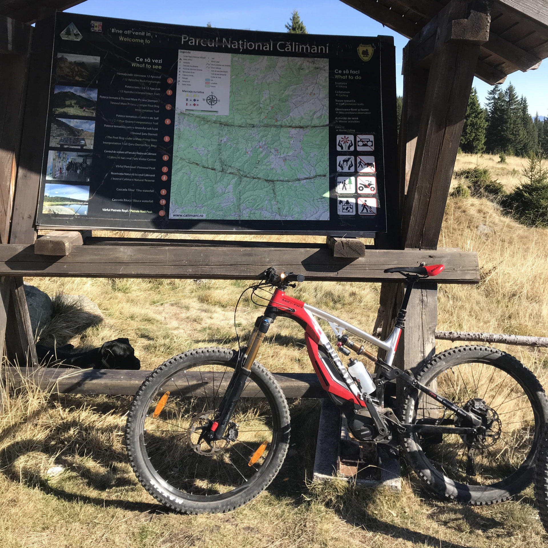 Explorează Munții pe ebike-urile MTB Thok