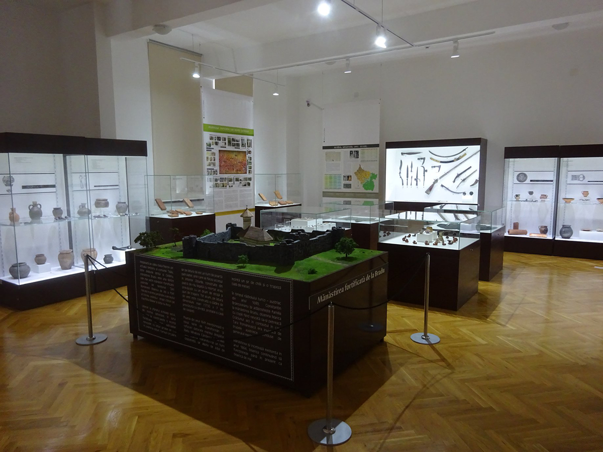 Muzeul Judetean Buzau