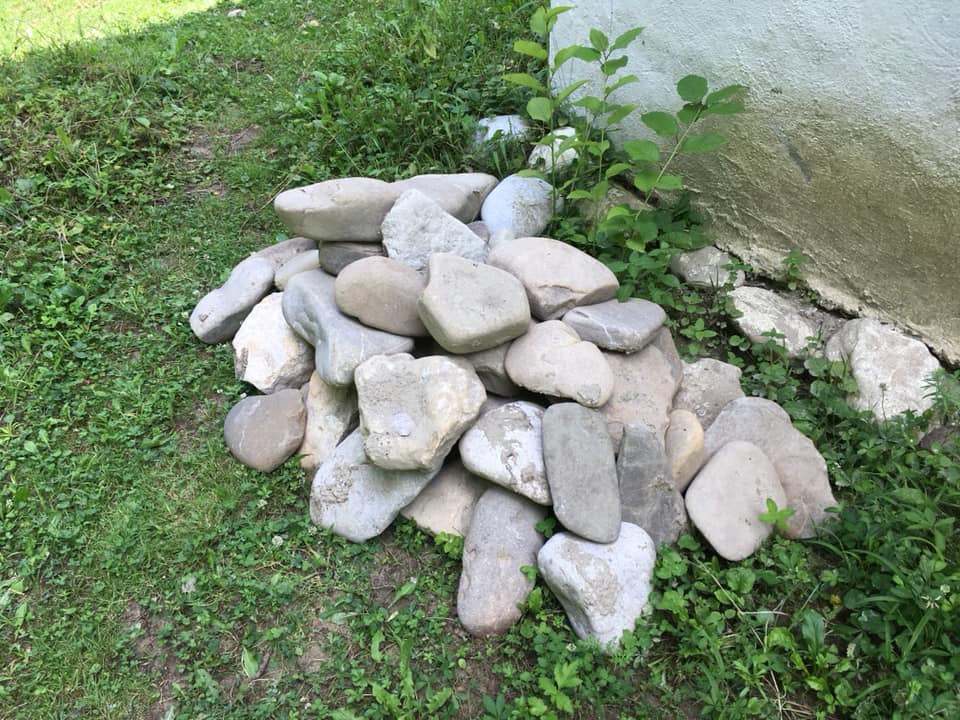 Școala de Var - Ateliere și întâmplări din Țara Bascilor