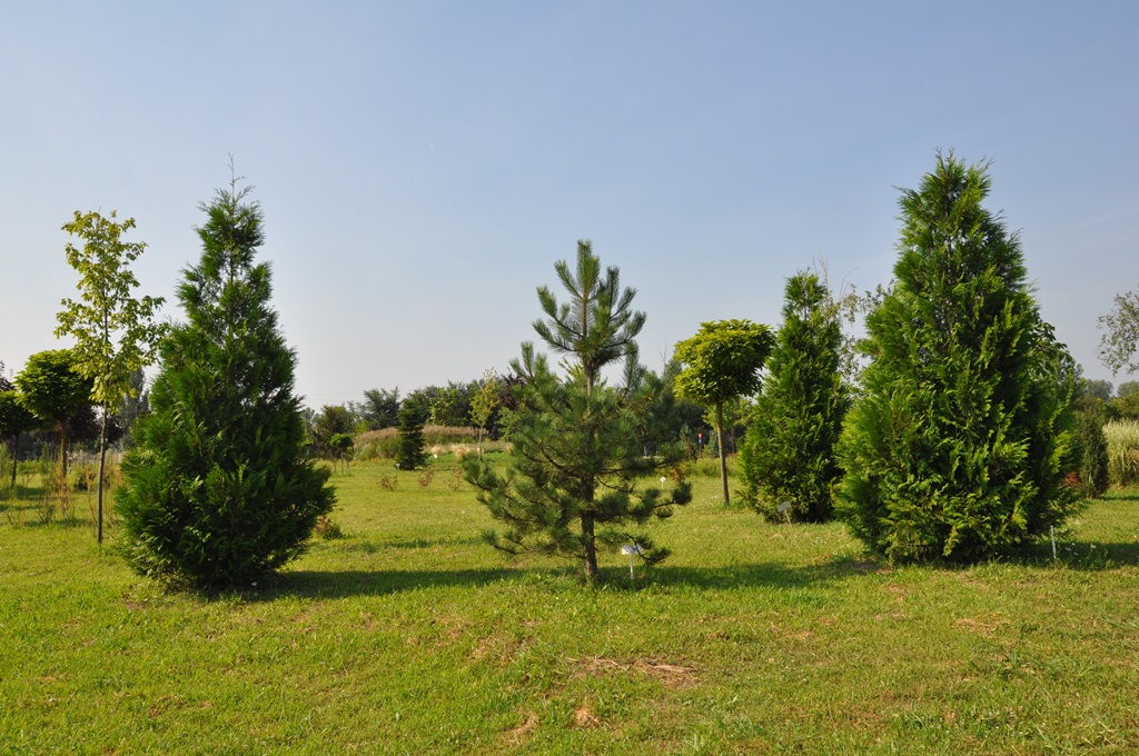 Gradina Botanica Bucov