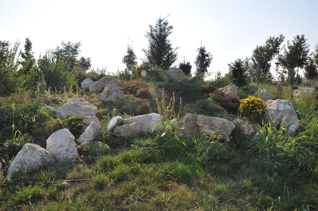Gradina Botanica Bucov