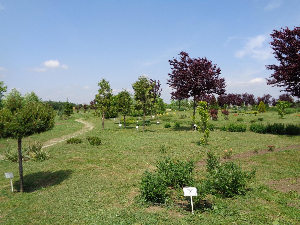 Gradina Botanica Bucov