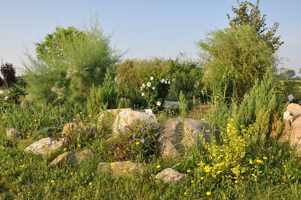 Gradina Botanica Bucov