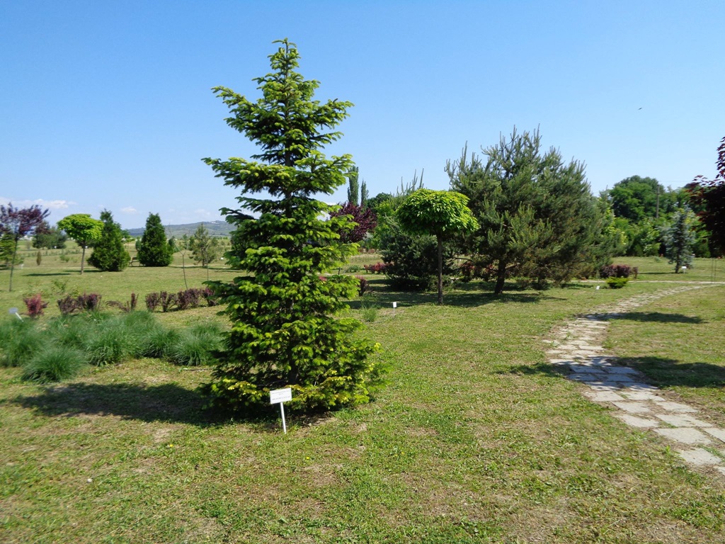 Gradina Botanica Bucov